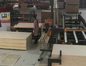 胶合板自动锯边机